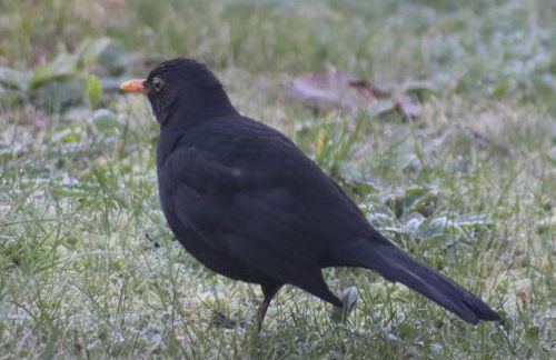 Acquavilla - Foto 64