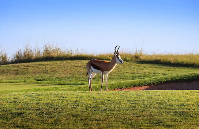 Krisjan's Lodge @ Oubaai - Photo 29