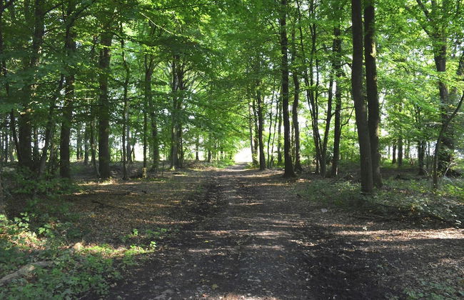 Chalet in Gesves With Roof Terrace, Garden, BBQ - Foto 38