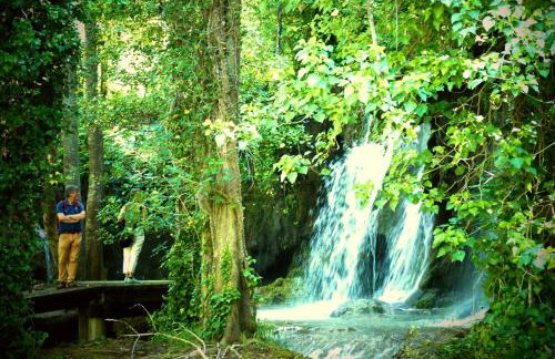 Apartments Brkić, Lozovac Krka NP with Pool - Foto 63