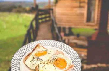 The Treehouse of The Dragon - Foto 17