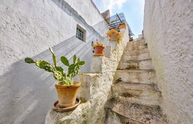 Minimasseria in Centro Storico - Foto 17