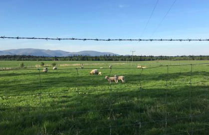 South Doll Farm Cottage - Foto 41