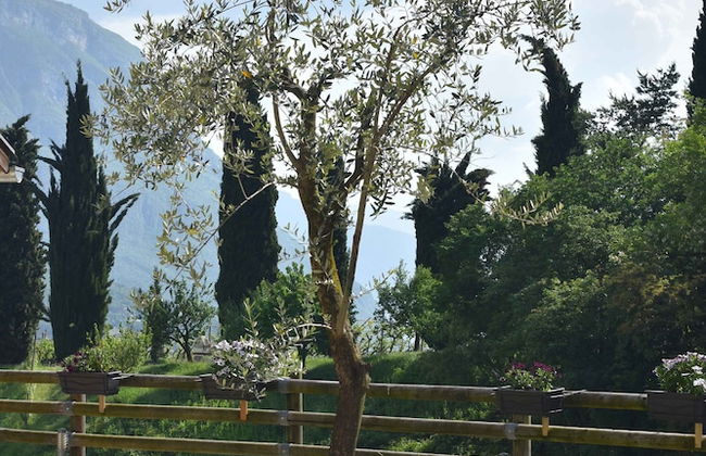 Agritur Casteller - Foto 39