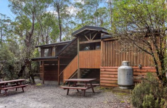 Discovery Parks - Cradle Mountain - Foto 46