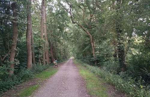 Ediths Haus - Foto 32