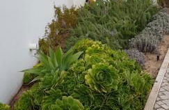 Casa do Pai Beach House - Foto 48