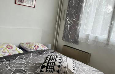 Appartement de 80m2 aux portes de Lyon avec ascenseur, balcon, parking - Foto 4