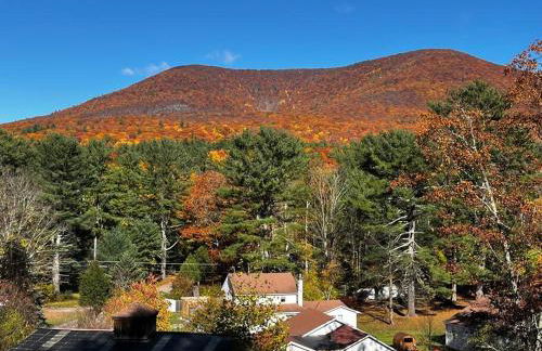 Catskills Quaint Cottage with Peloton Minutes from Hiking - Foto 18