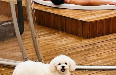 VILLA PATTY ASSISI con SPA e Piscina - Foto 76