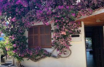 Les Mouettes - Foto 14