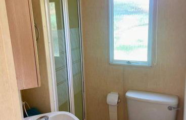 Holenderki na Zielonych Wzgórzach, Łowyń - Foto 21