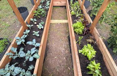 Riverbend Serenity Cabins - Foto 121