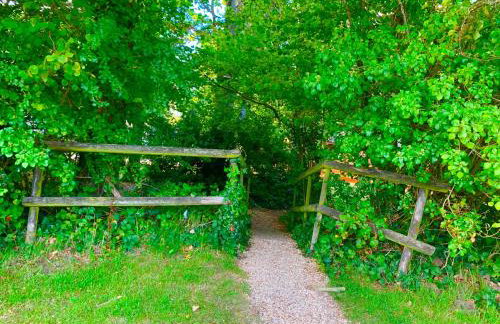 Forest lodge - Foto 50