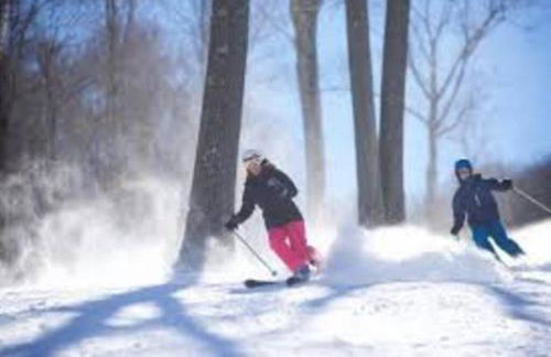 Historic Estate - 5 min to Mohawk Mt Ski Resort - Foto 59