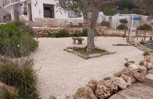 Tenuta L'uliveto - Foto 62