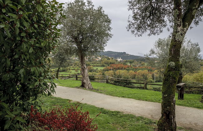 Quinta do Rapozinho - Foto 55