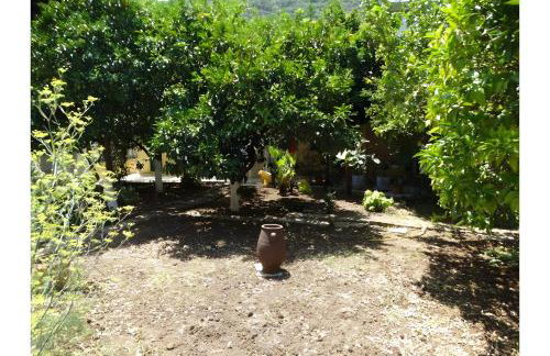 Rooms Grapevine - Foto 12