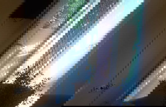 Apartments Gavacic - Photo 9