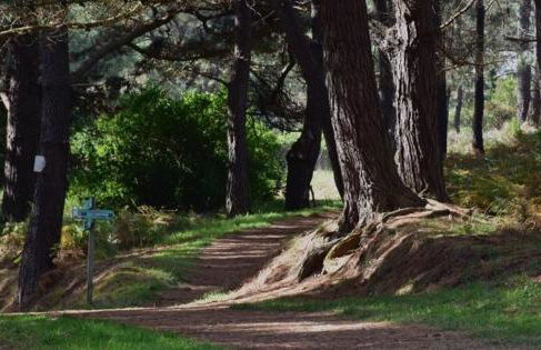 O REMANSO do CORGO - Foto 35