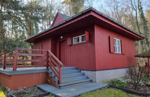 Boszkowski Azyl - Foto 3