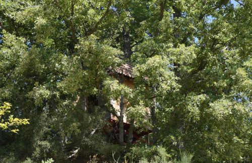 Quinta das Colmeias - Foto 37