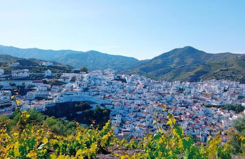 Apartamento buena vista - Foto 30