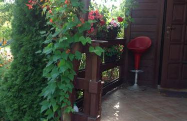 Dom na skraju Puszczy Białowieskiej - Foto 7