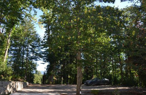 BELLA TUSCANY - Residence - Photo 20