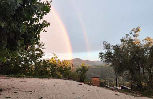 GrazieSole Agriturismo mattone upstairs e downstairs - Foto 27