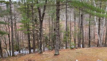 Cavalier # 2 townhouse - Foto 3