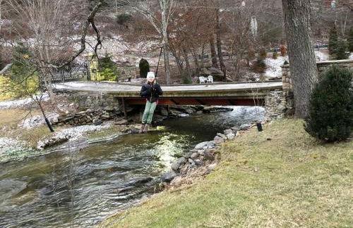 Fairytale: Hot Tub & Trout Stream & Petting Zoo? - Foto 50