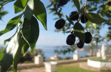 Ocean Front Studios 77 - Foto 3