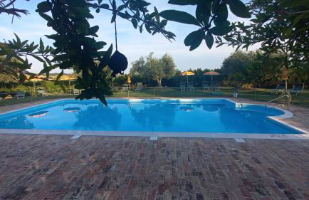 Agri Divin Amore - Foto 43