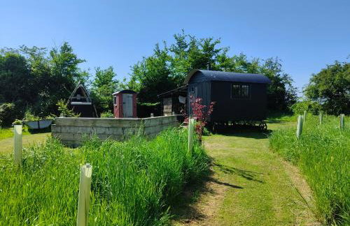 Stompy's Hut - Foto 2