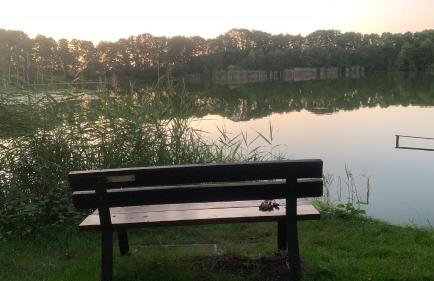 Ferienwohnung am Netzener See - Foto 16