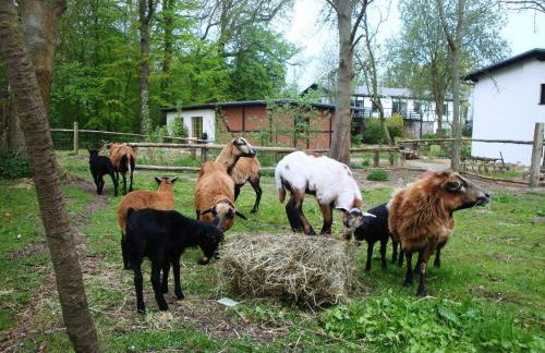 Gutspark Seeblick - Foto 25