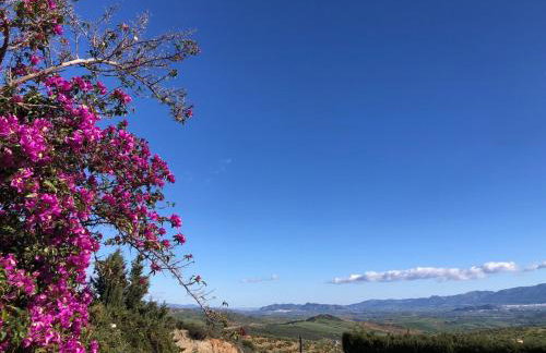 Gaia Home Retreat - Foto 61