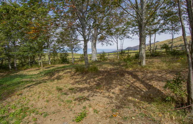 I 3 Faggi - Photo 57