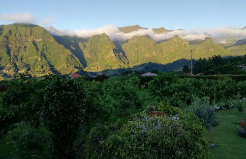 Granny's farm - Foto 68