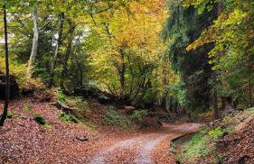 Carlotta Mountain Lake Iseo Hospitality - Photo 32