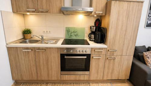 Ruhige Ferienwohnung am Fürst-Pückler-Park mit Sauna & Parkplatz - Foto 5, stove