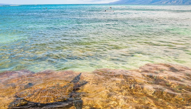 Napili Surf 209 in Lahaina - Foto 5, Habitación