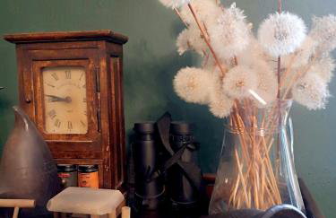 Pałac Rząsiny - Foto 34