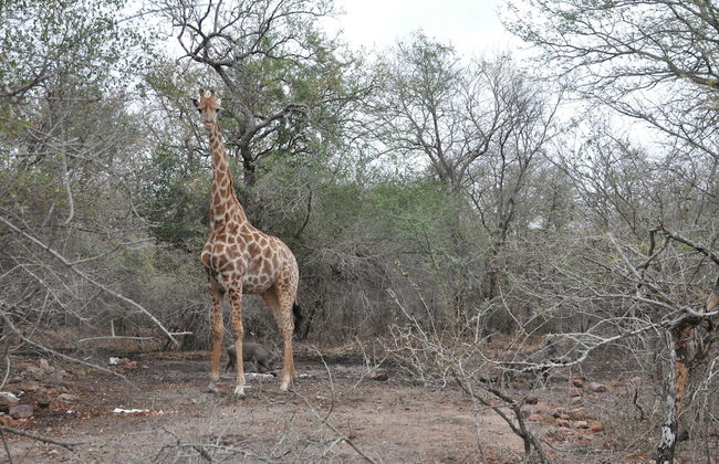 Villa ZaZu - Foto 35