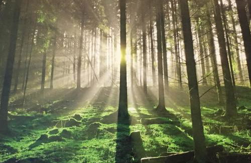 Ferienwohnung am Goethepark im Leipziger Neuseenland - Foto 43