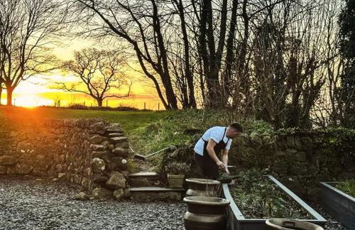 Plas Dinas Country House - Photo 30