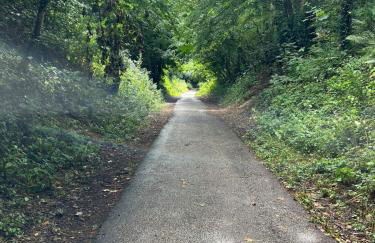 Albert's Cottage, Dorset - Photo 29