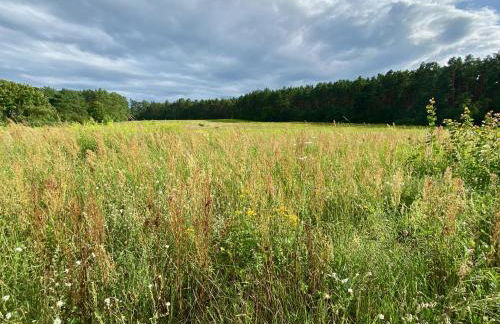 Studio im Haus Amselgarten - Foto 29