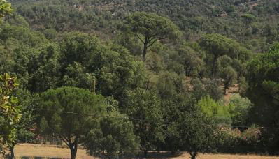 Mas de Bagarry - Foto 3